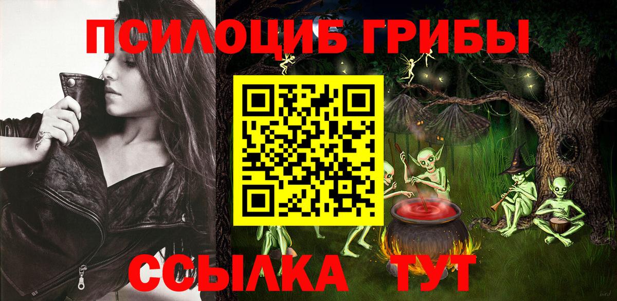 Псилоцибиновые грибы Psilocybine cubensis Серов
