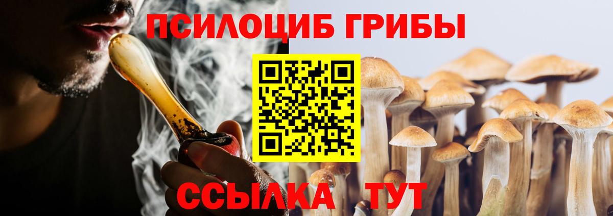 Псилоцибиновые грибы прущие грибы  Вход с VPN  Серов  Галлюциногенные грибы Psilocybine cubensis 